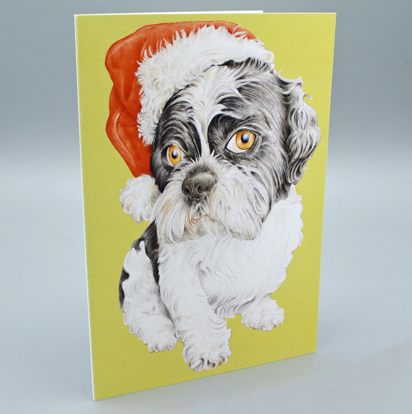 Merry Christmas Greetings Card