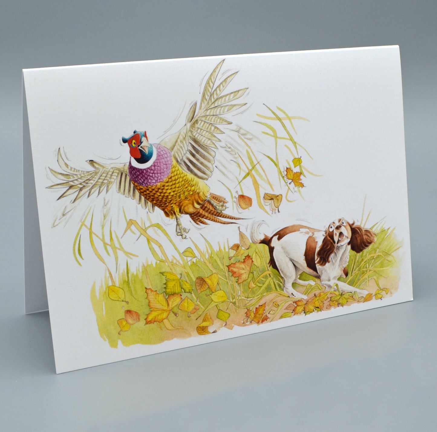 Flushed! Greetings Card