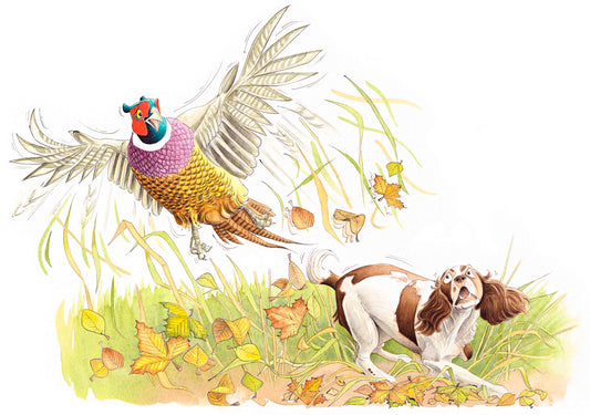 Flushed! Greetings Card