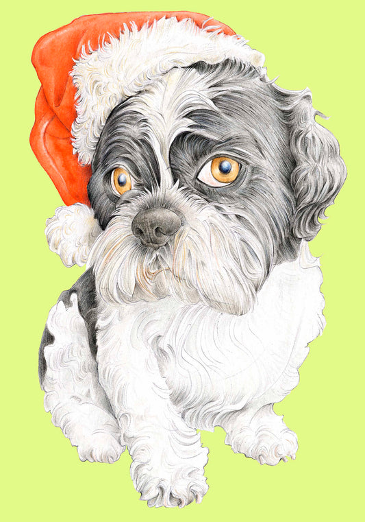 Merry Christmas Greetings Card