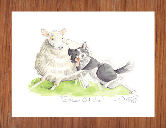 Stubborn Old Ewe - Open Edition Giclee Art Print