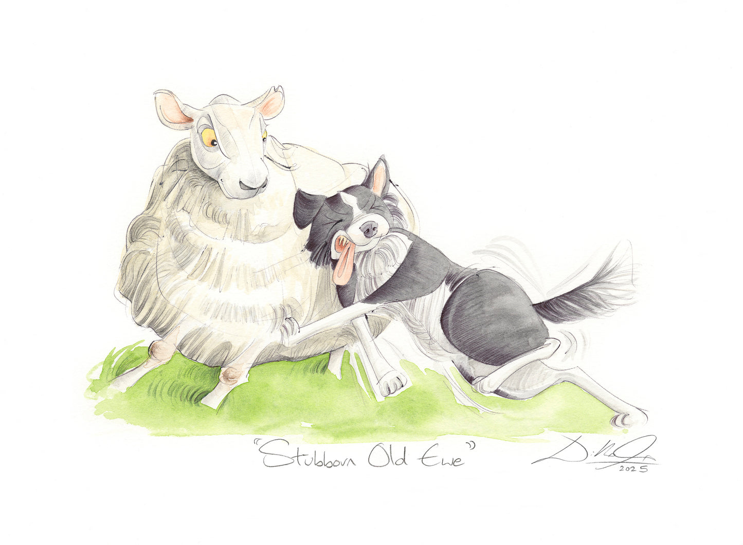 Stubborn Old Ewe - Open Edition Giclee Art Print