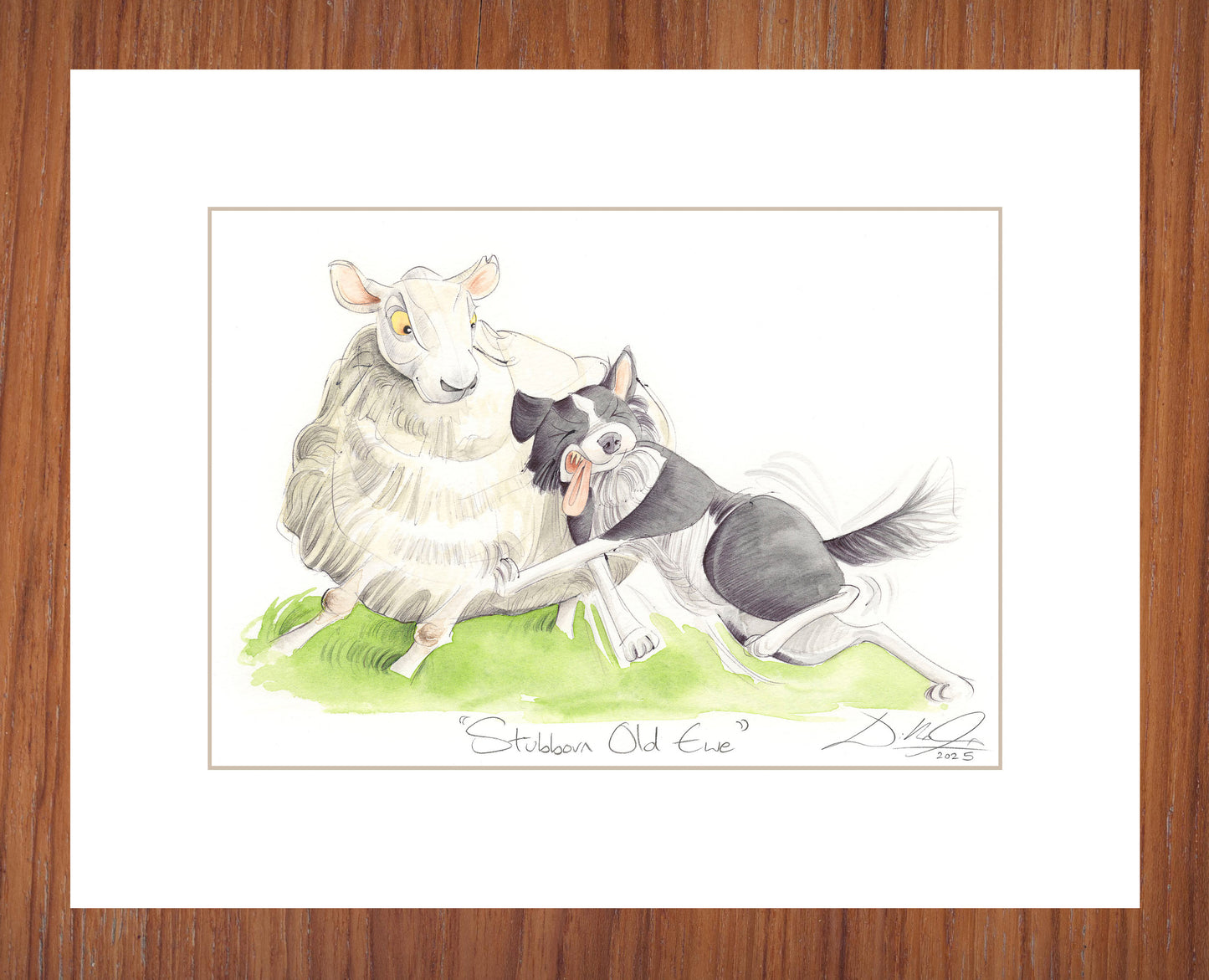 Stubborn Old Ewe - Open Edition Giclee Art Print