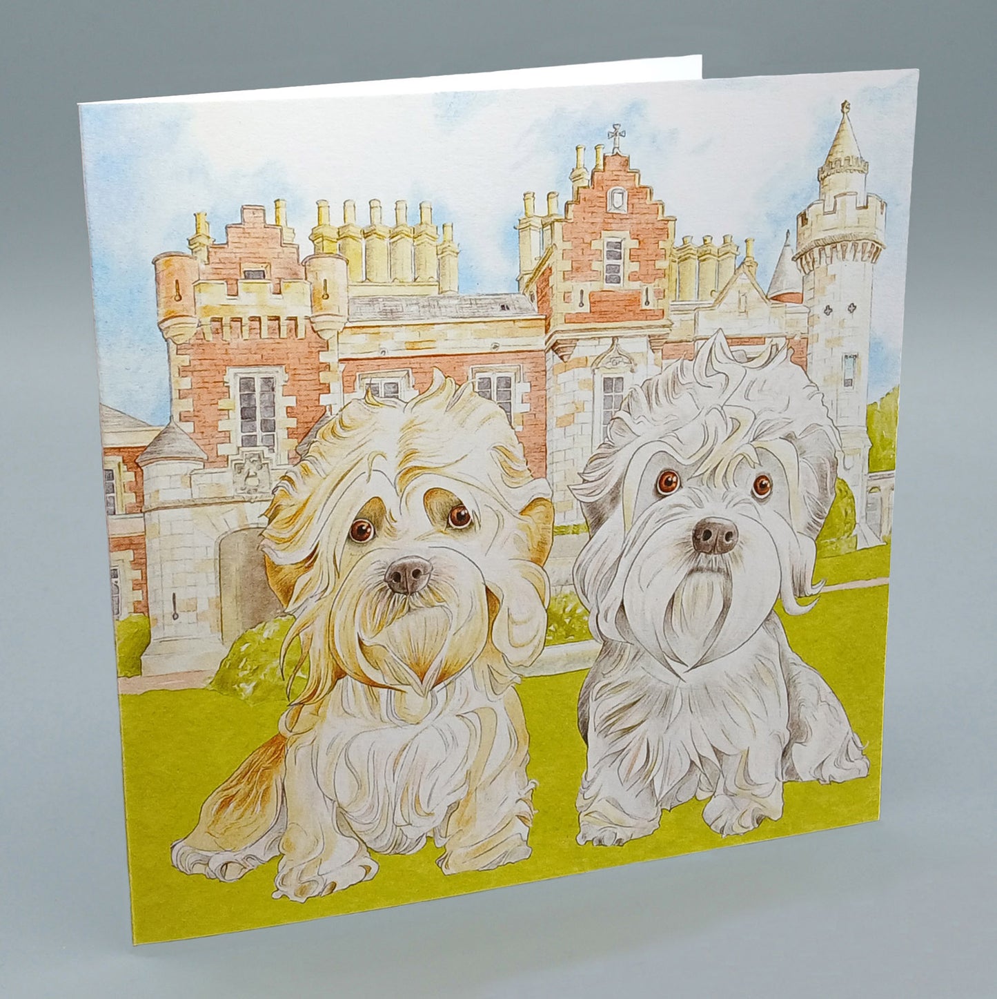 Dandies at Abbotsford Greetings Card