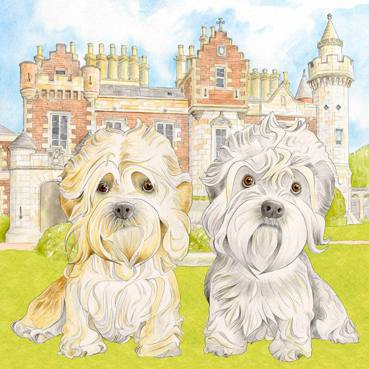 Dandies at Abbotsford Greetings Card