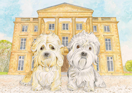 Dandies at The Haining Greetings Card