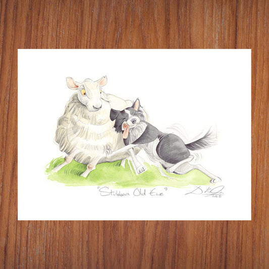 Stubborn Old Ewe - Open Edition Giclee Art Print