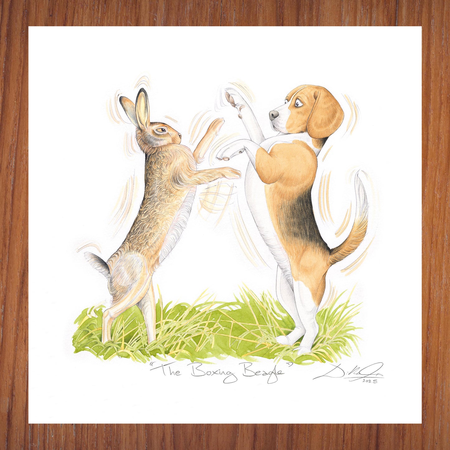 The Boxing Beagle - Open Edition Giclee Art Print