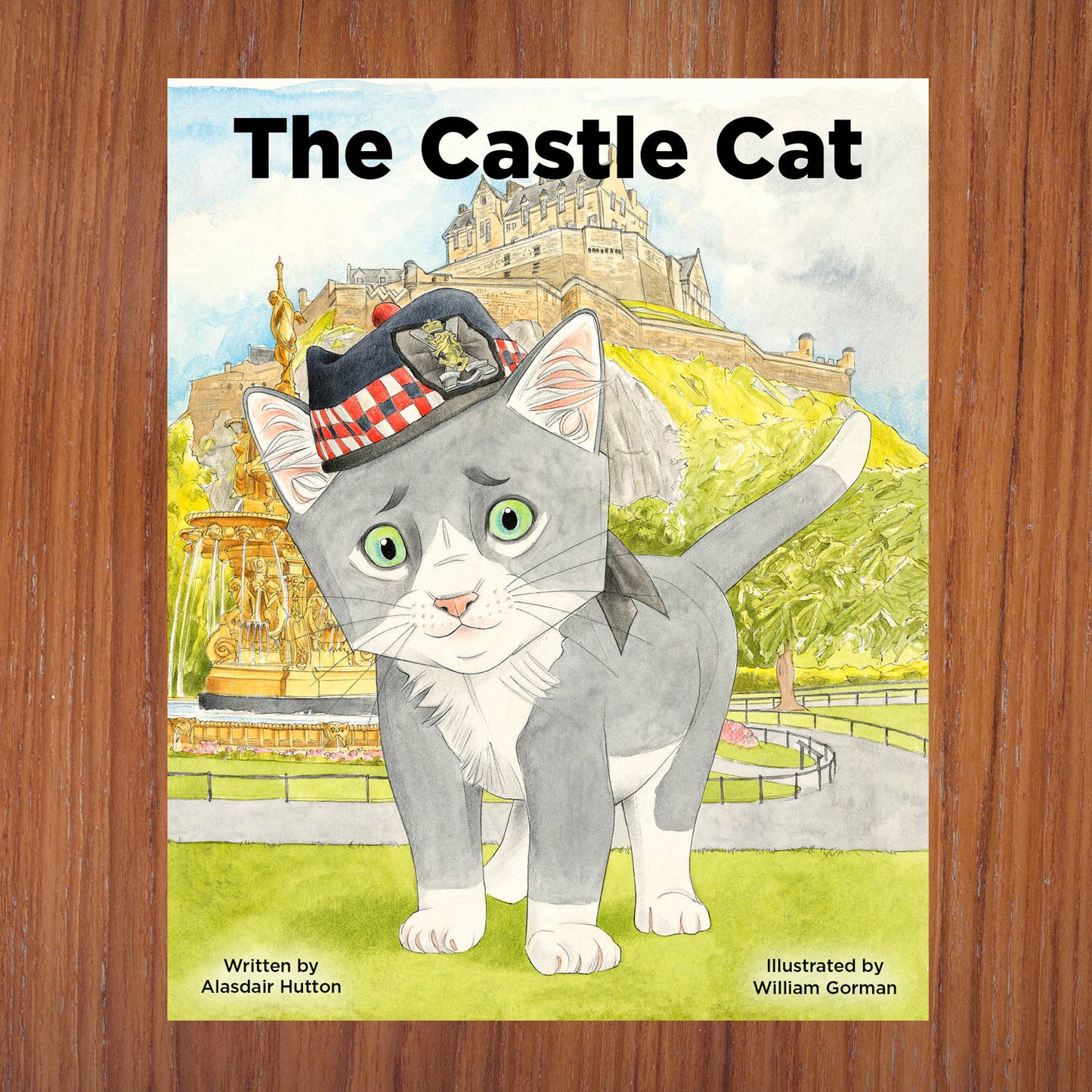 Children's Book The Castle Cat written by Alasdair Hutton